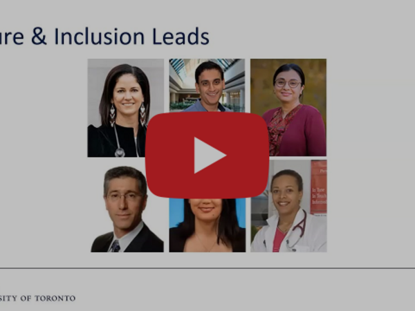 culture and inclusion leads